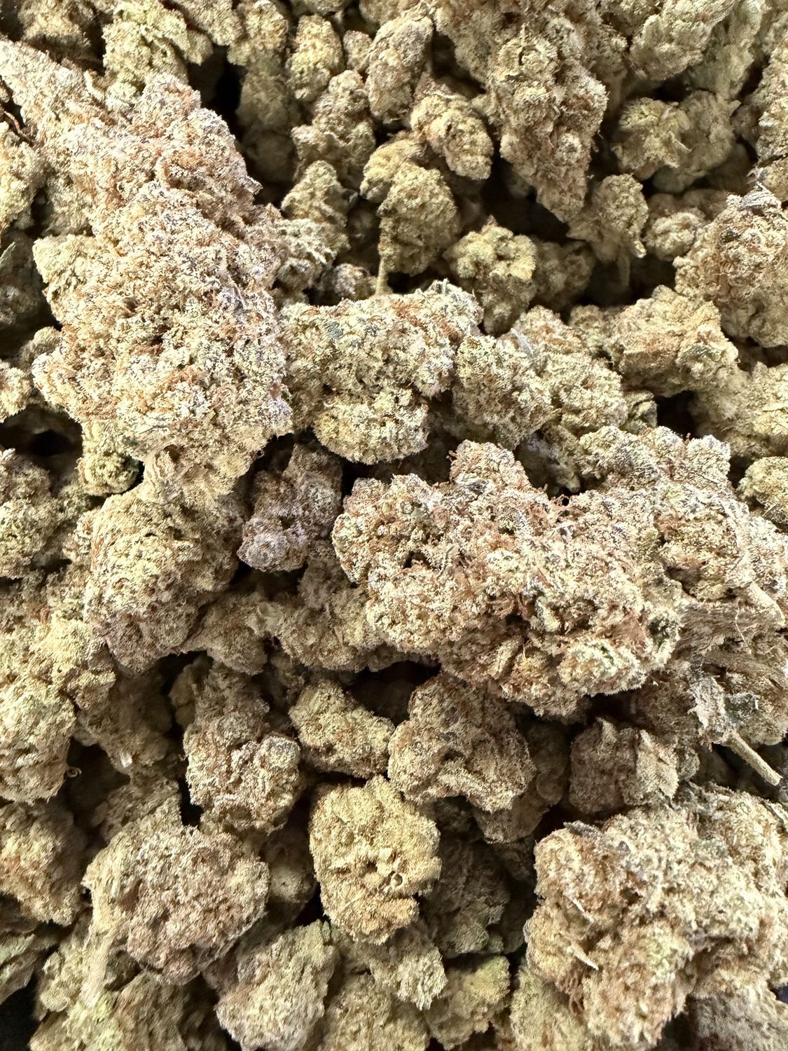 Grape Gas Thca Indoor flower