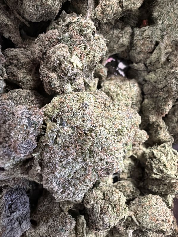 Illuminati kUSH thca flower (Indica)