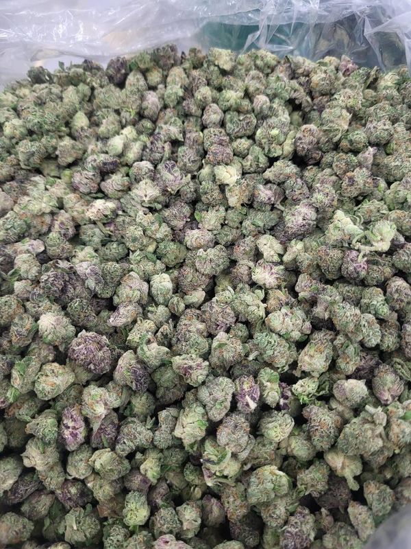 Oreoz THCA flower