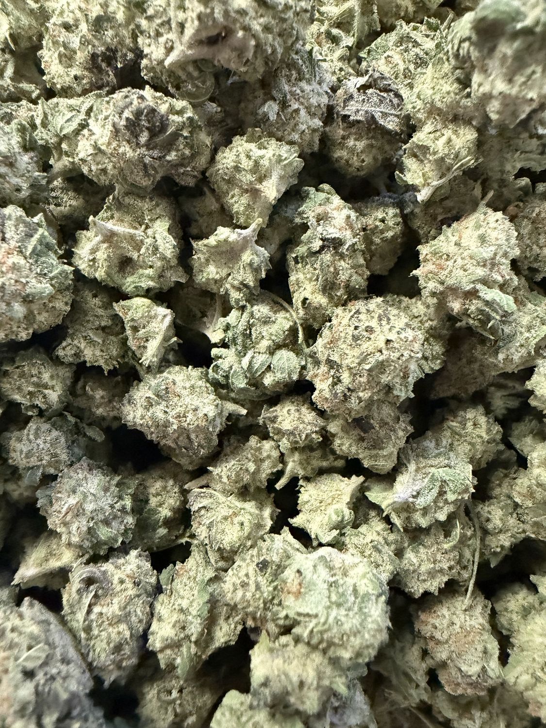 Mango mintz THCA flower
