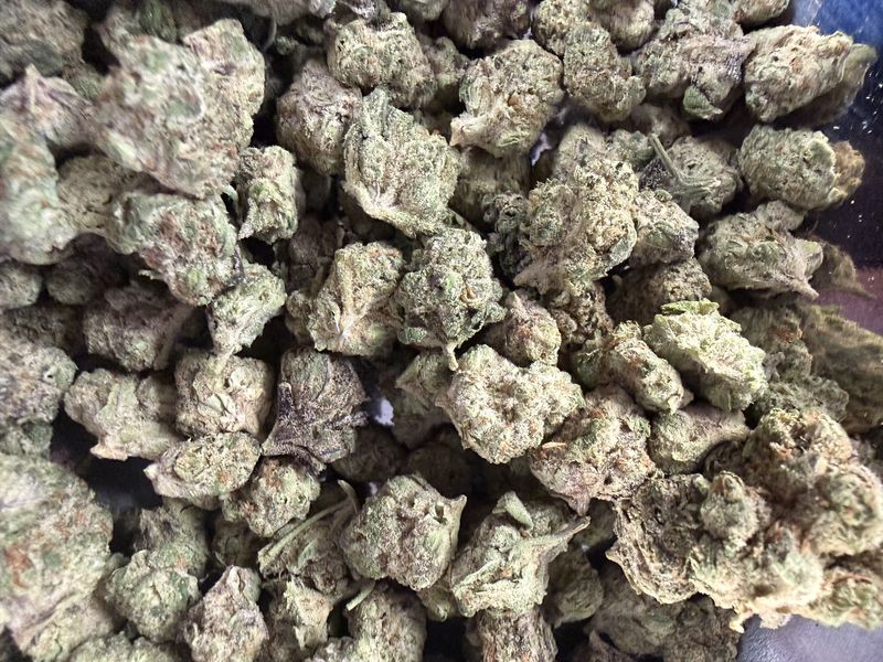 Garlic  cookies Thca flower