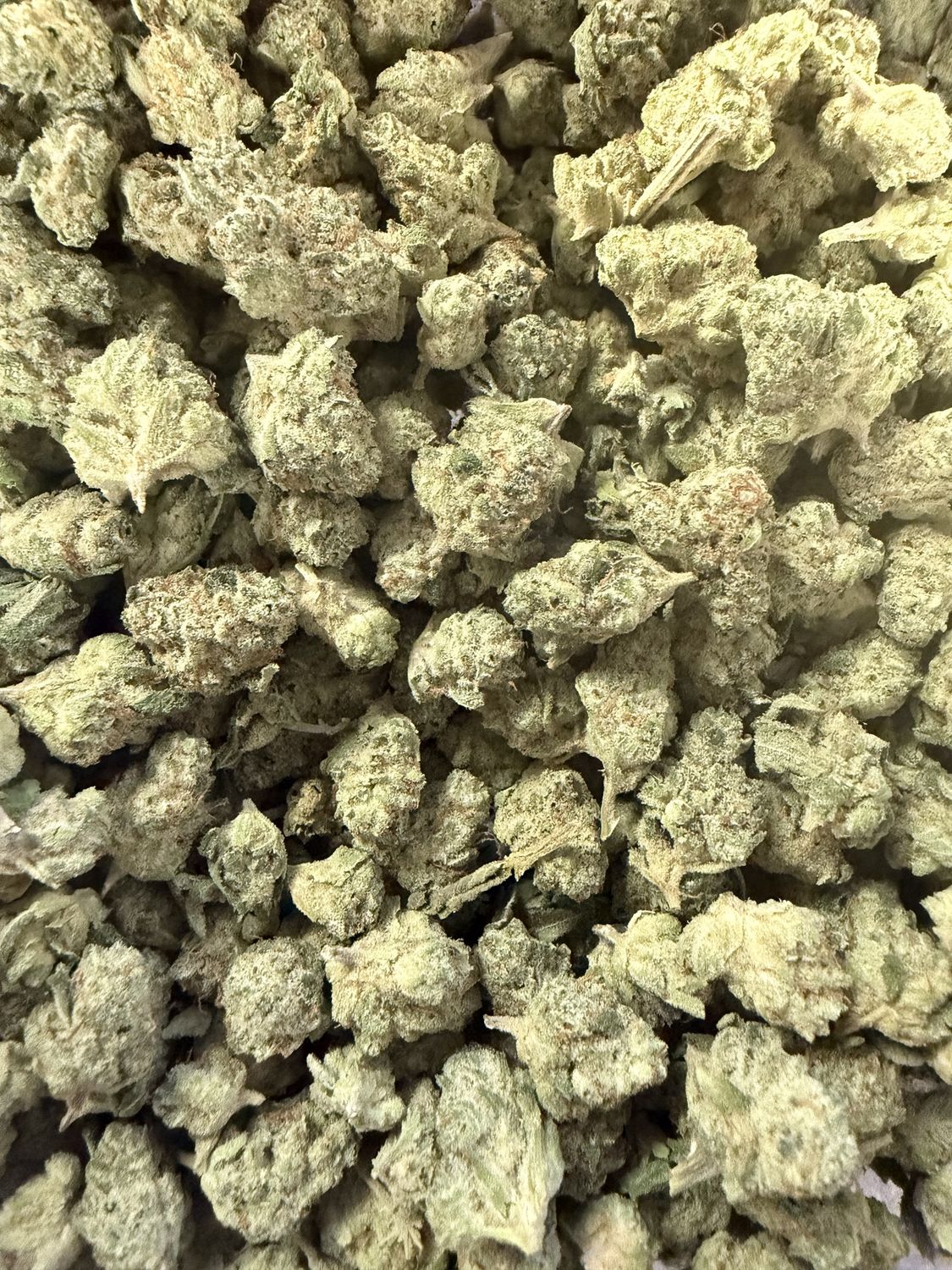 Pineapple doughnuts THCA flower