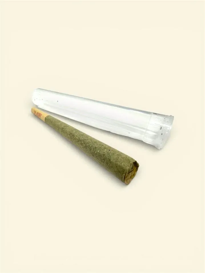 Jelly zonut thca pre roll