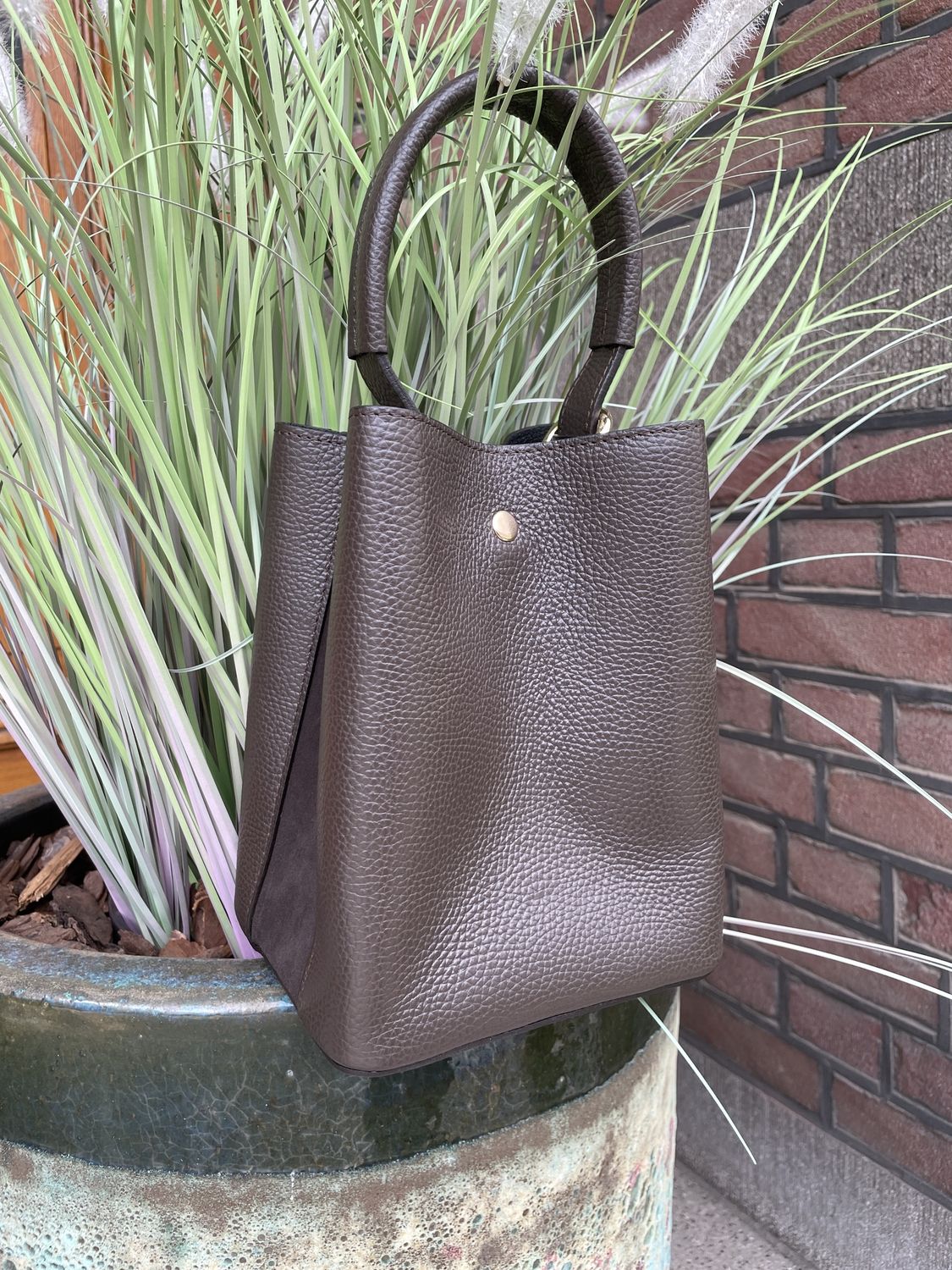 TAS Rozaine - BRUIN
