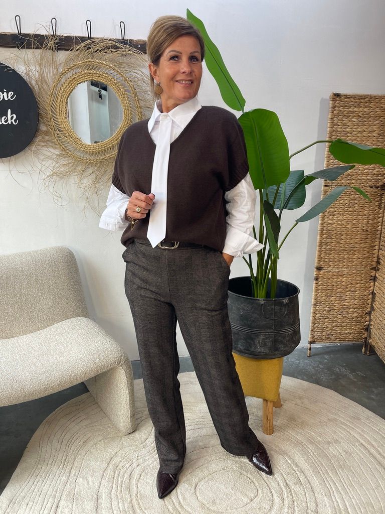 Geruite Pantalon - Bruin