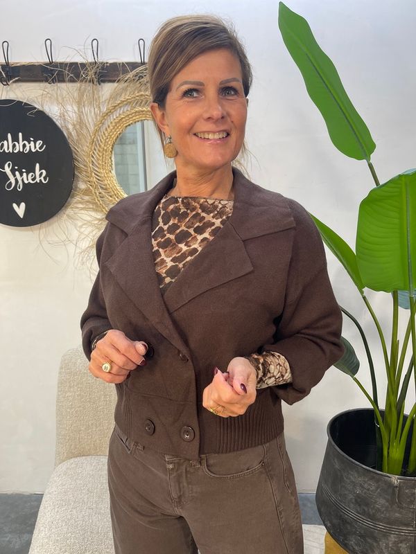 Vest met Kraag - Choco