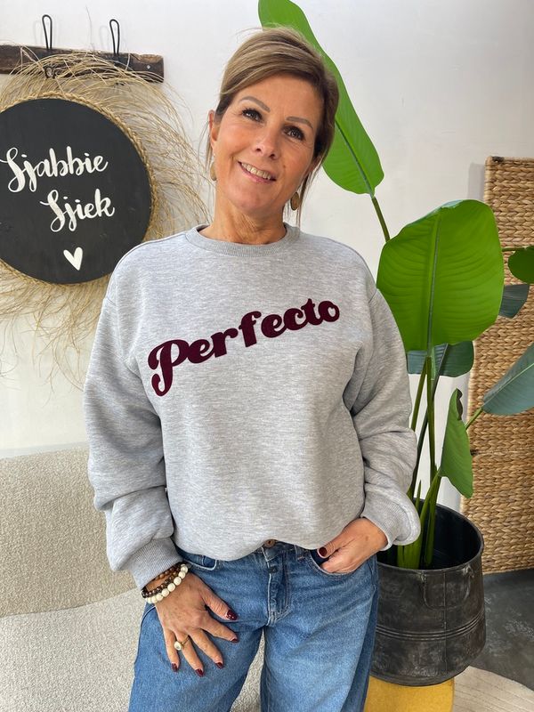 Sweater Perfecto Grijs