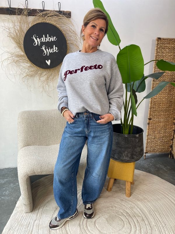 Sweater Perfecto Grijs