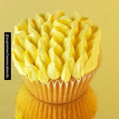Vanilla Cupcakes