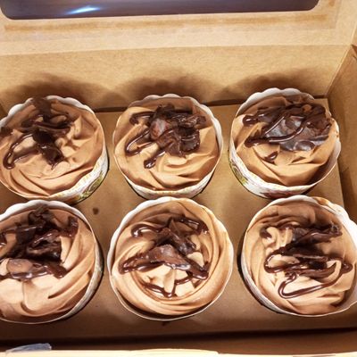 Chocolate Cupcakes