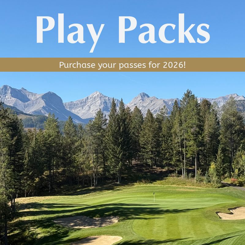 Play Packs
