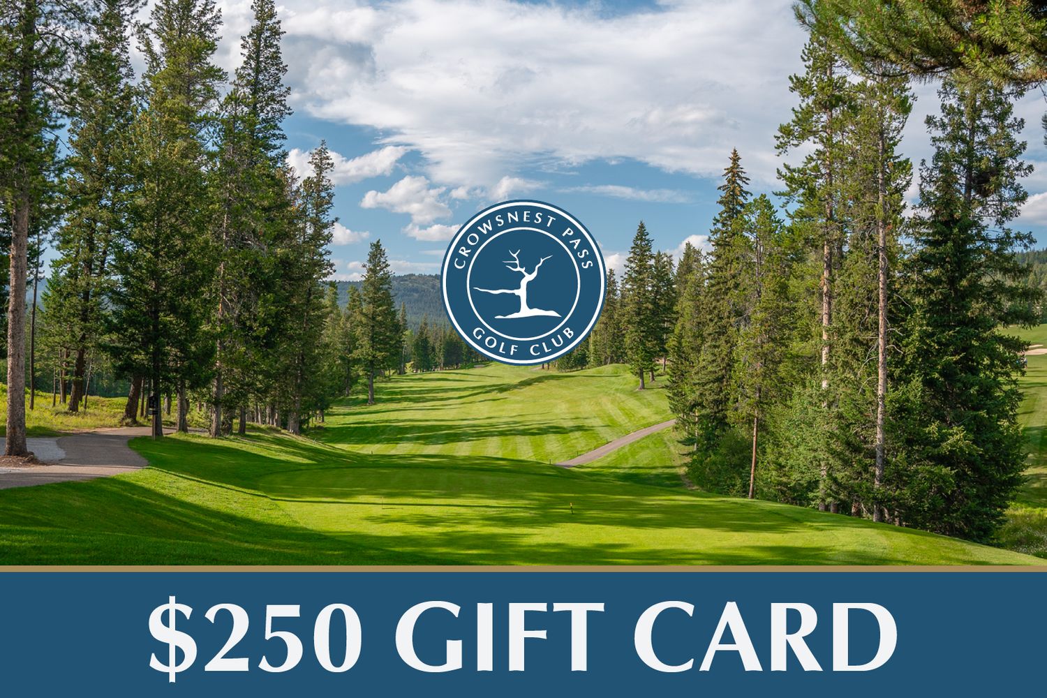 $250 Gift Card