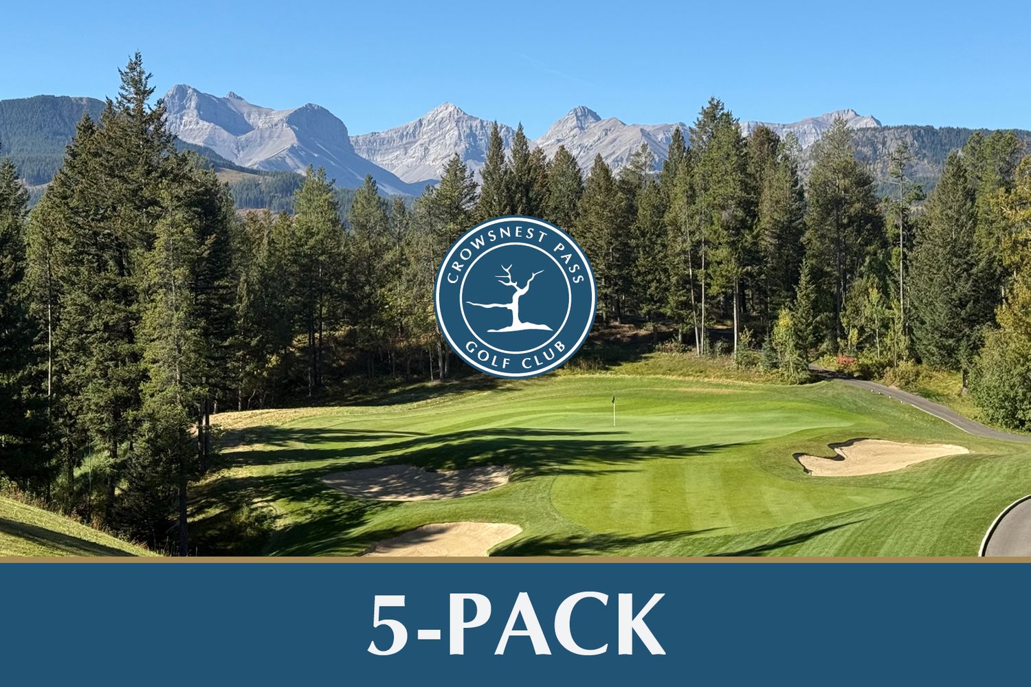 5 Pack Including Cart