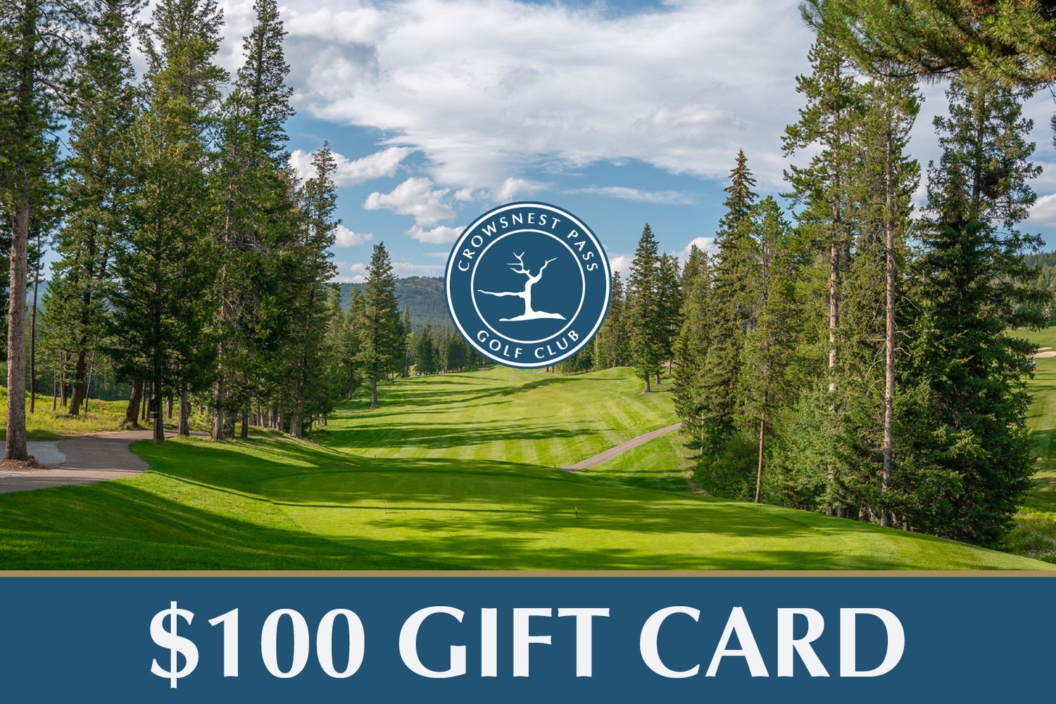 $100 Gift Card