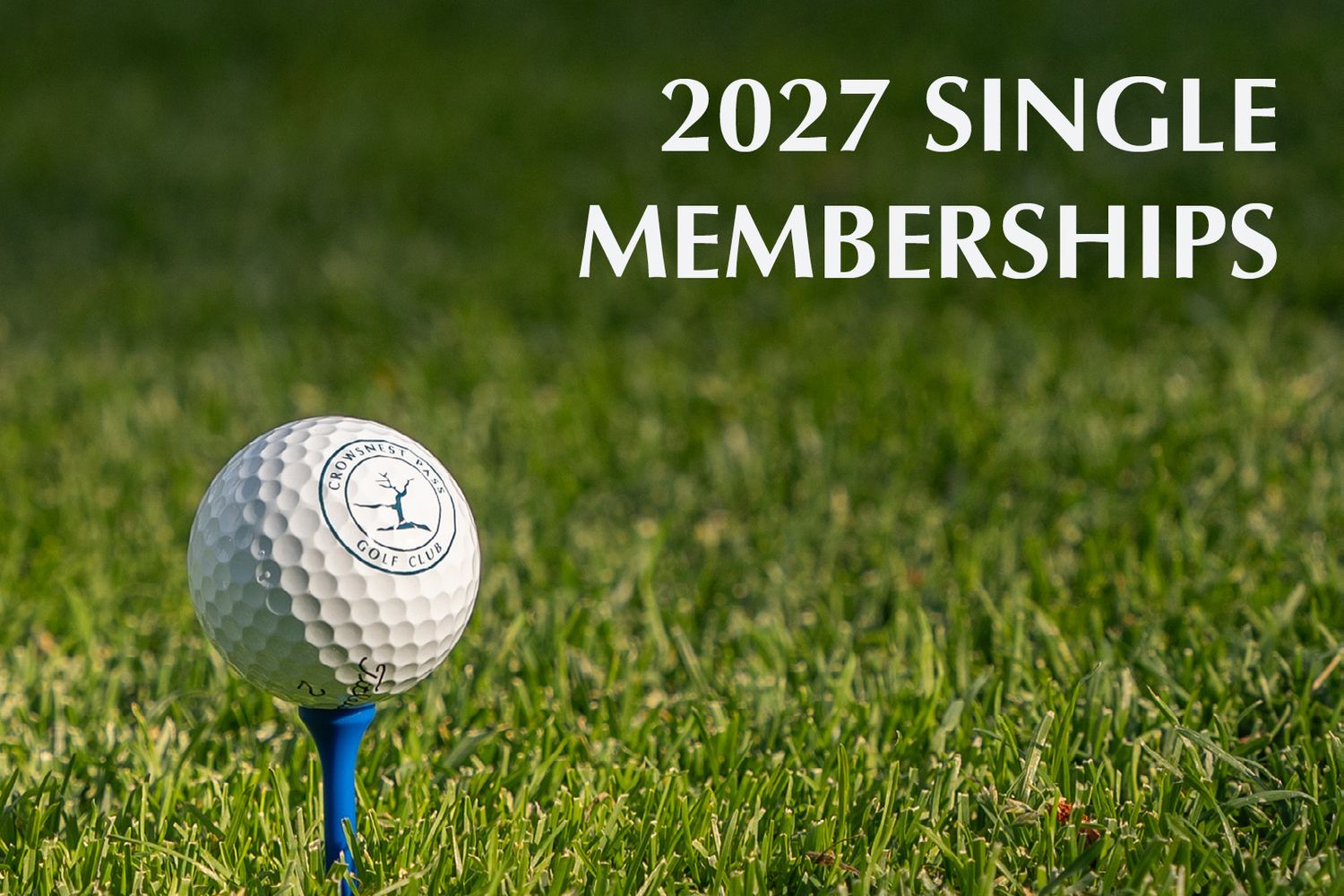 Early Bird Single Membership
