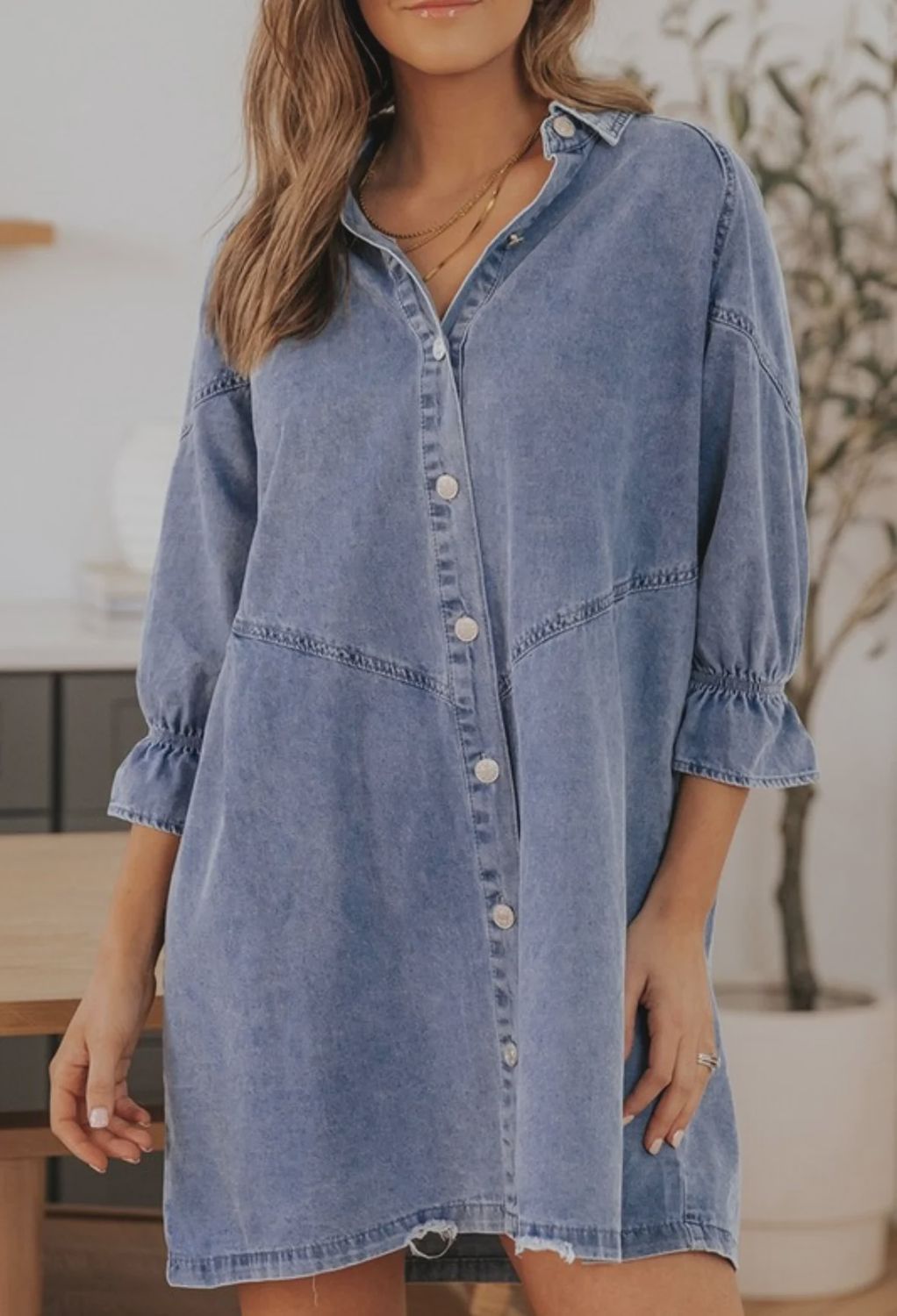 The penny button down dress