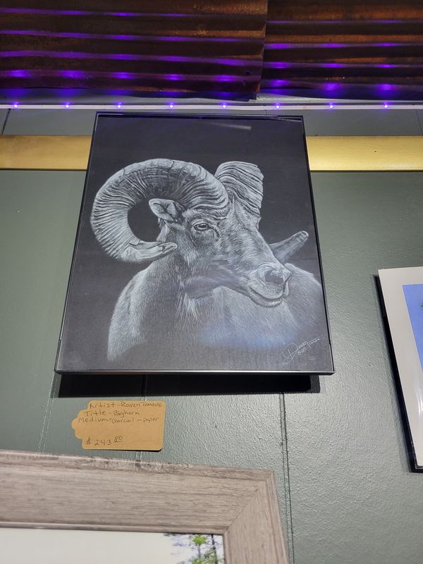 Bighorn Sheep