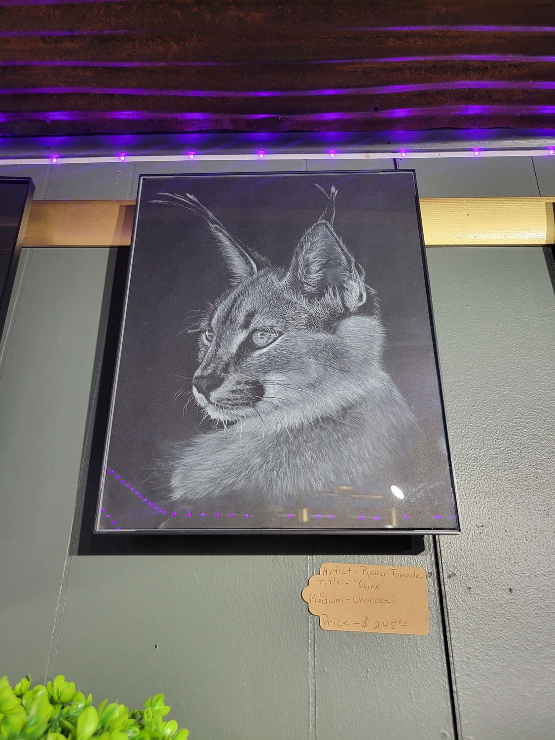 Lynx