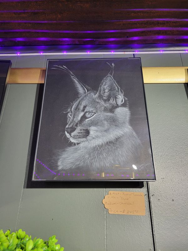 Lynx