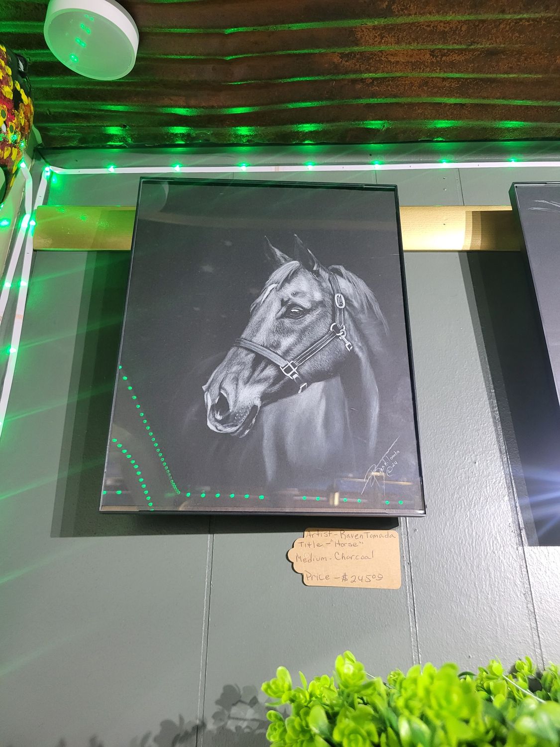 Horse