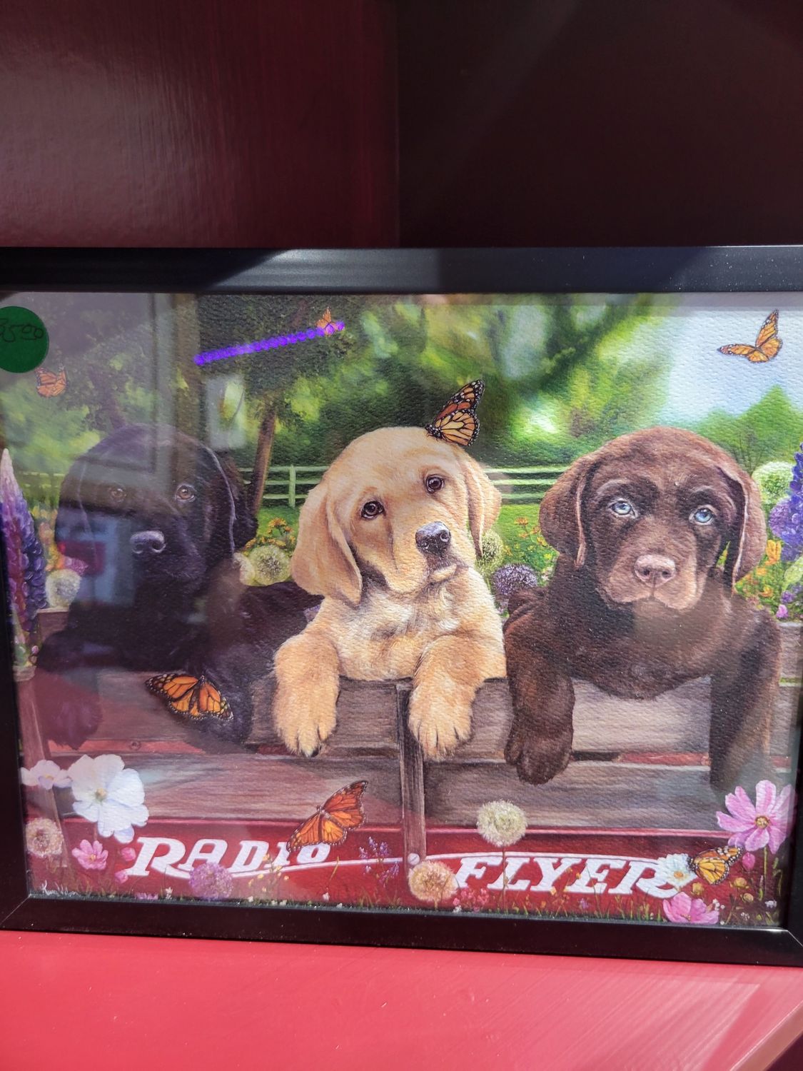 Radio flyers