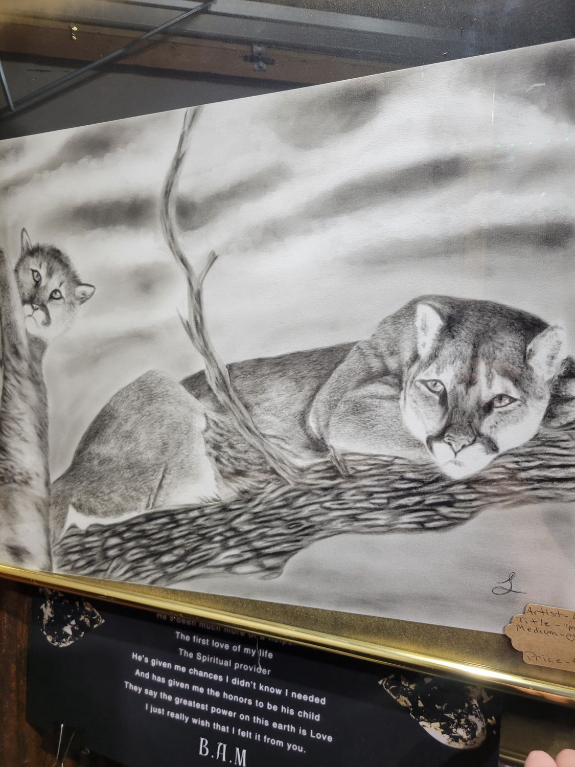 Mountain lion