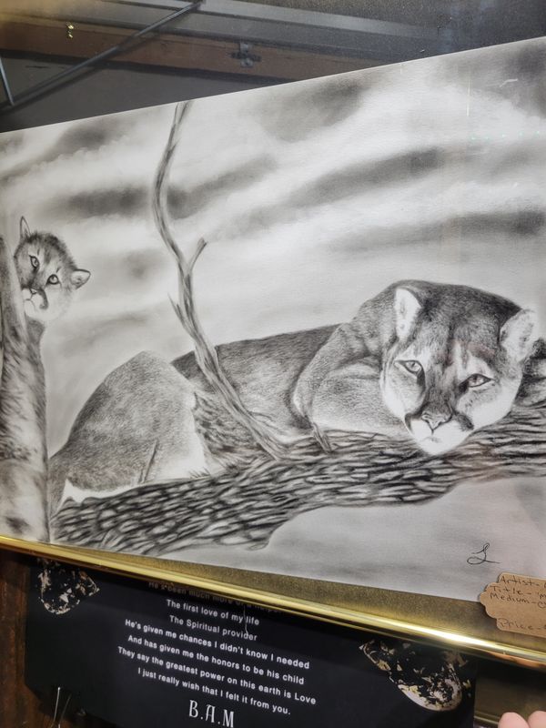 Mountain lion