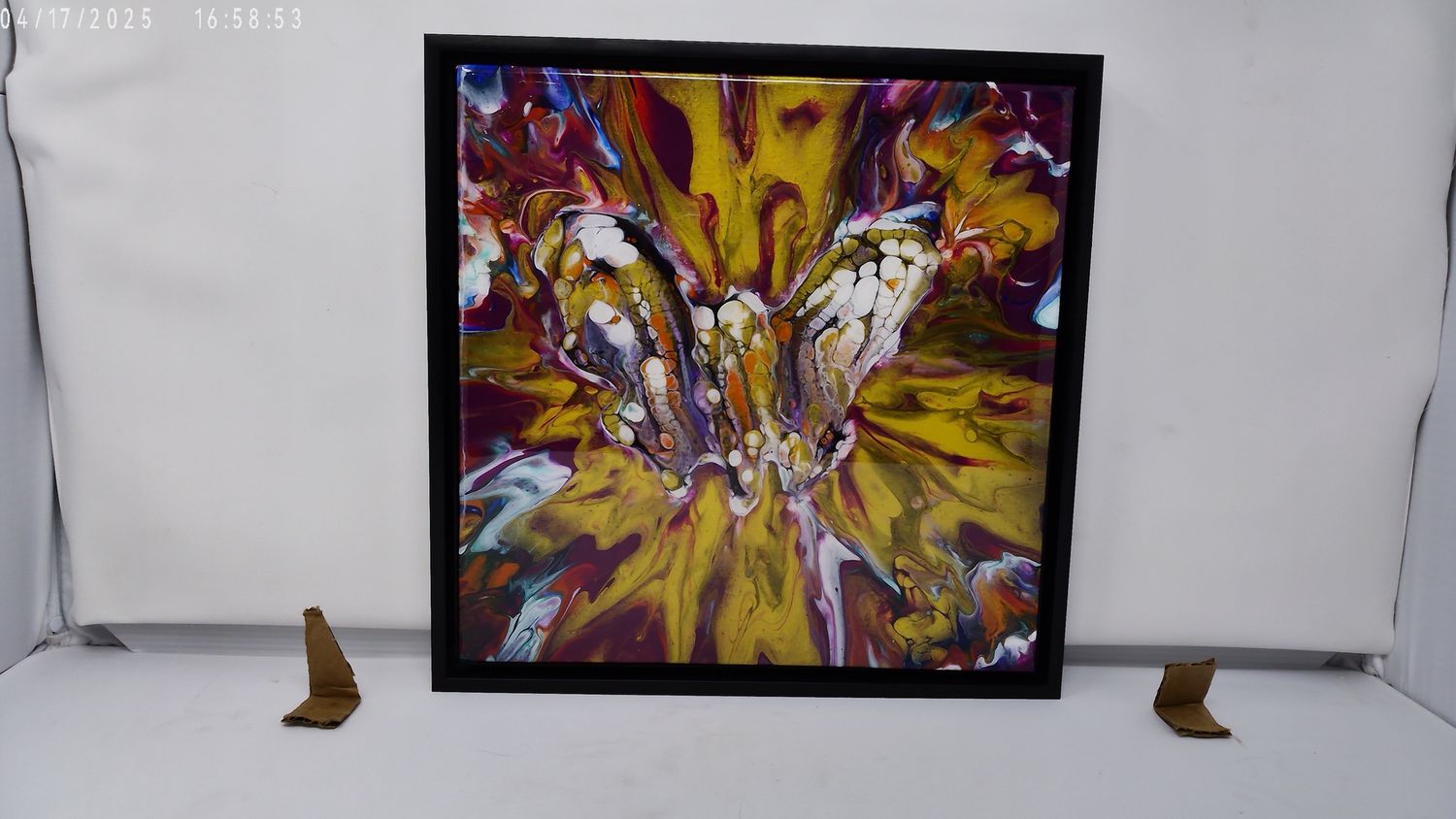 Moth in the Gold