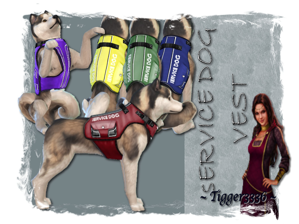 Service Dog Vest