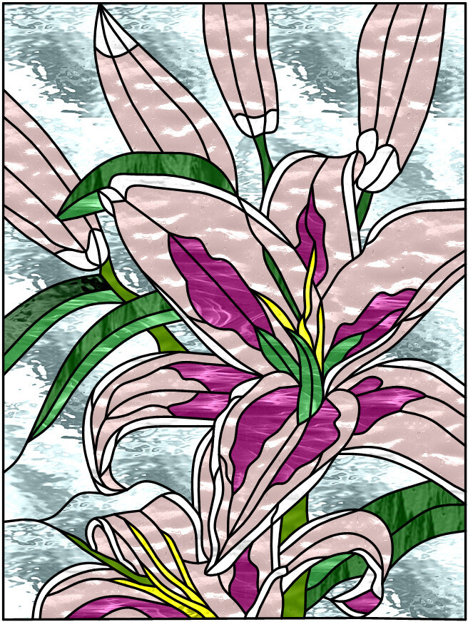 Asiatic Lily: Star Gazer