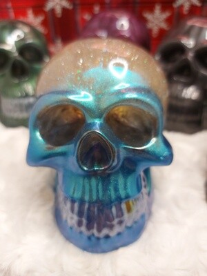 Lucy&#39;s Skull with brain- 3: Solid Expoxy Resin