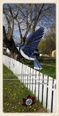 3D Mobile Flying Blue Jay