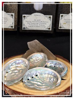 Abalone Shell (Small)