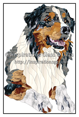 American Shepard