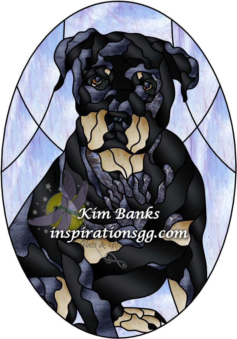 Rottweiler Adult
