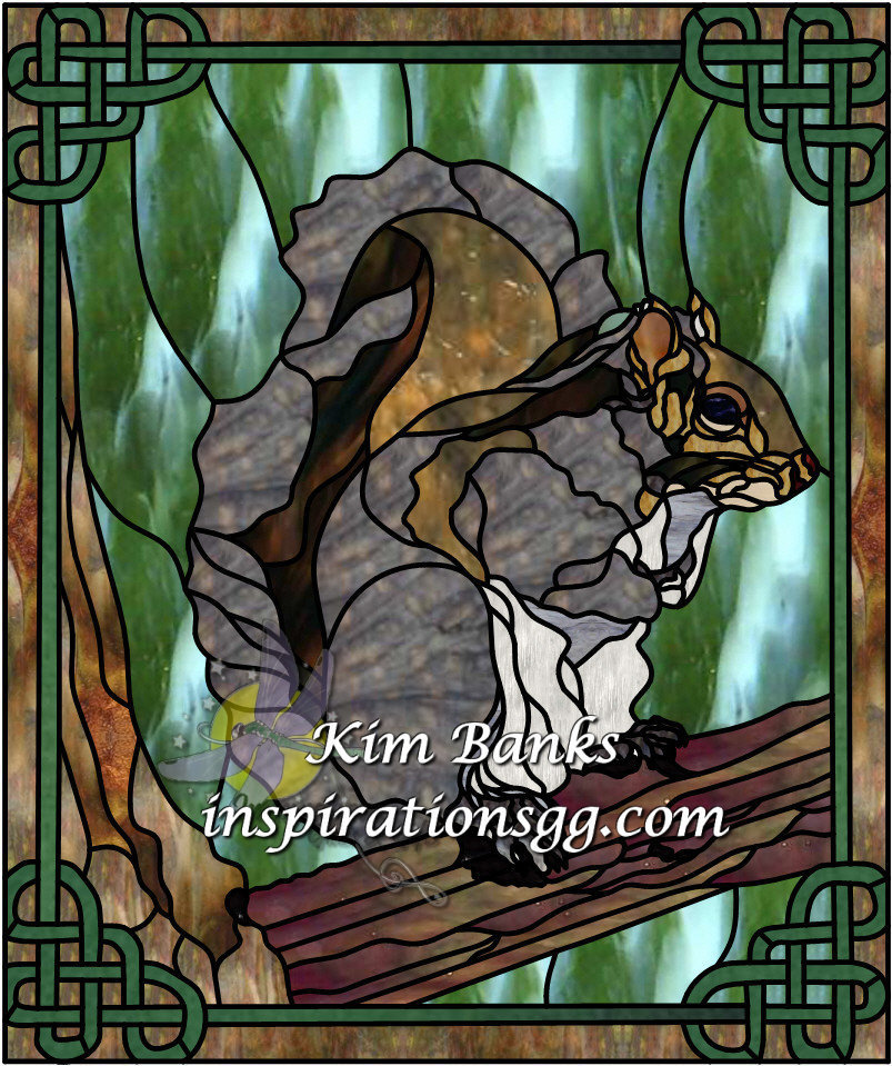 Squirrel - Eastern Grey