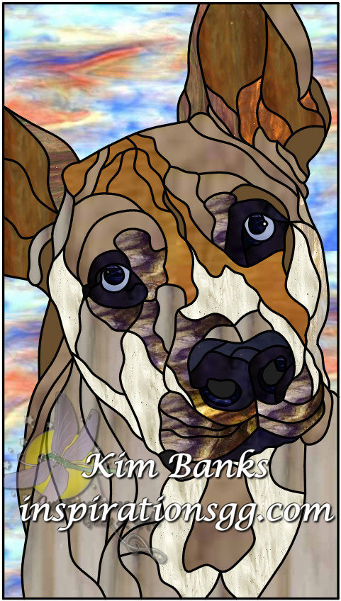 Rocky: Boxer / Dingo cross
