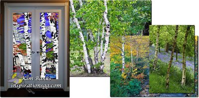 Birch trees: French doors
