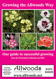 Growing the Allwoods Way