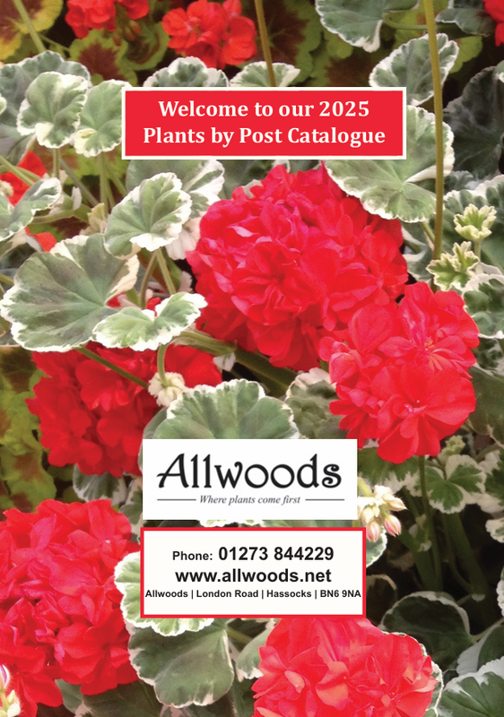 2025 Mail Order Catalogue