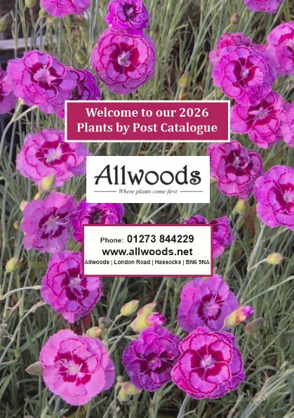 2026 Mail Order Catalogue - Coming Soon!