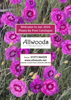 2026 Mail Order Catalogue - Coming Soon!