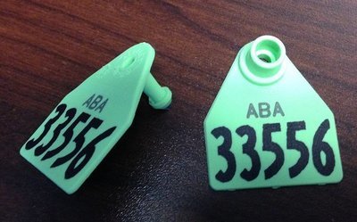 Ear Tags- CONTACT THE OFFICE TO BUY!