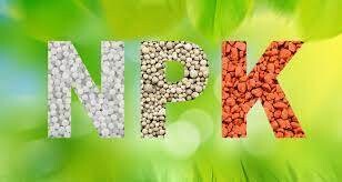 All NUTRIENTS &amp; FERTILIZERS