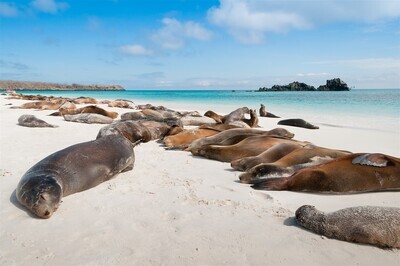 Galapagos