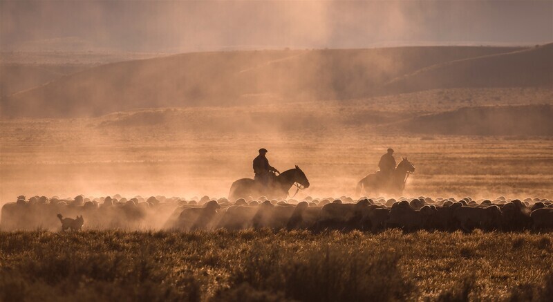 Argentine, des Andes au pays des Gauchos