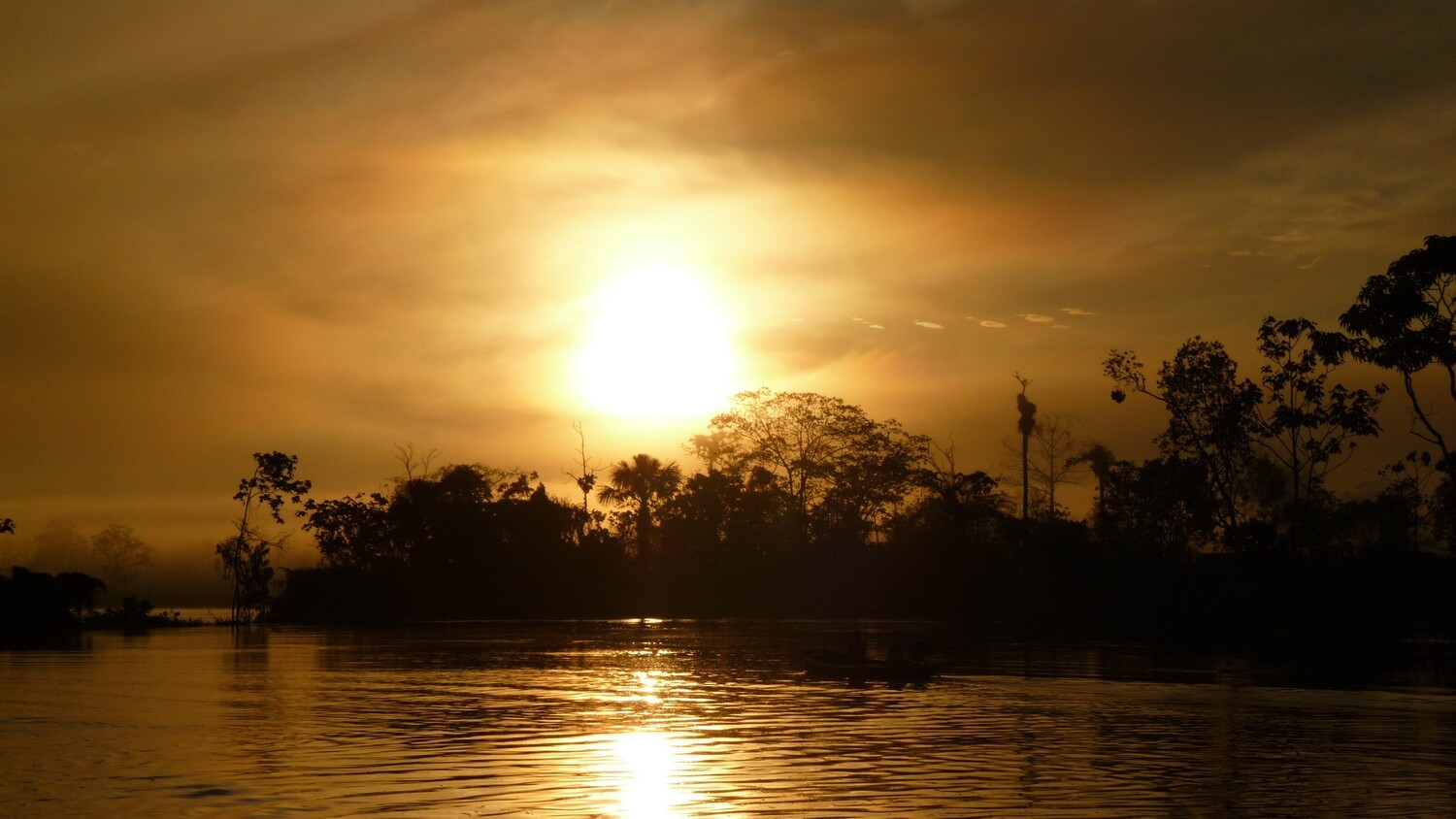 Bolivie, de l&#39;Altiplano à la Forêt Tropicale