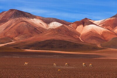 Chili / Bolivia, van de Atacamawoestijn tot de Gran Salar van Uyuni
