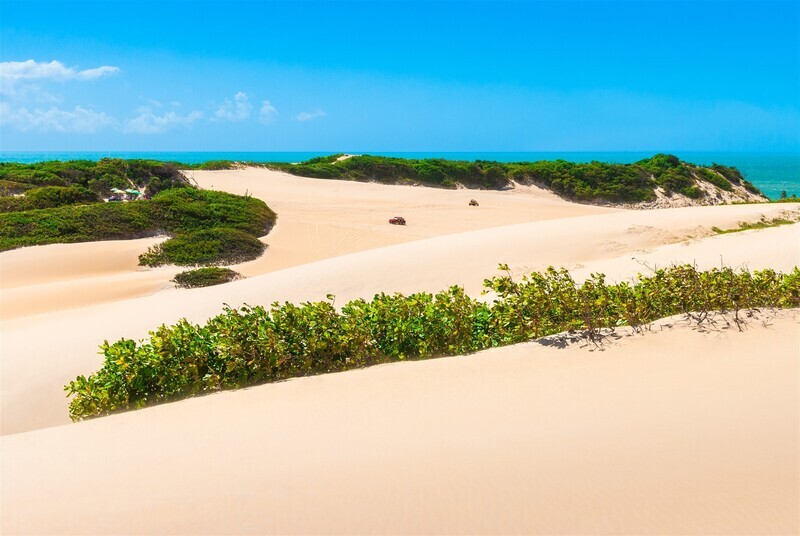 Brésil, Brazil Tropical