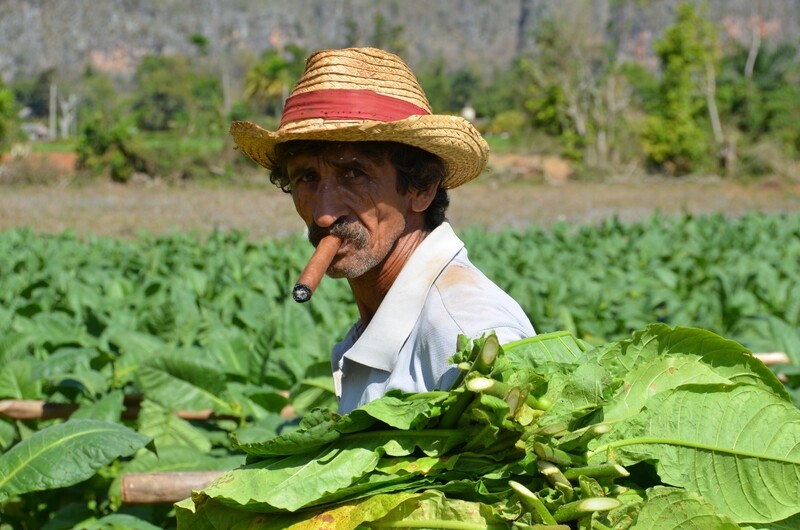 Cuba, de Schatten van Cuba (vluchten niet inbegrepen !)